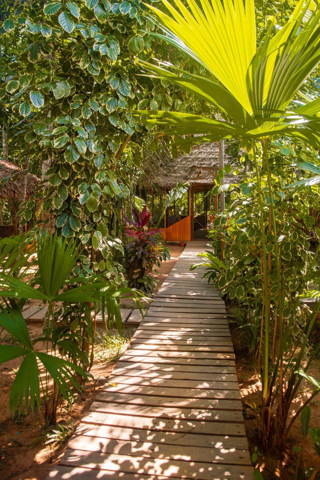Hotel Tronco Tambopata Adventure à Puerto Maldonado Extérieur photo