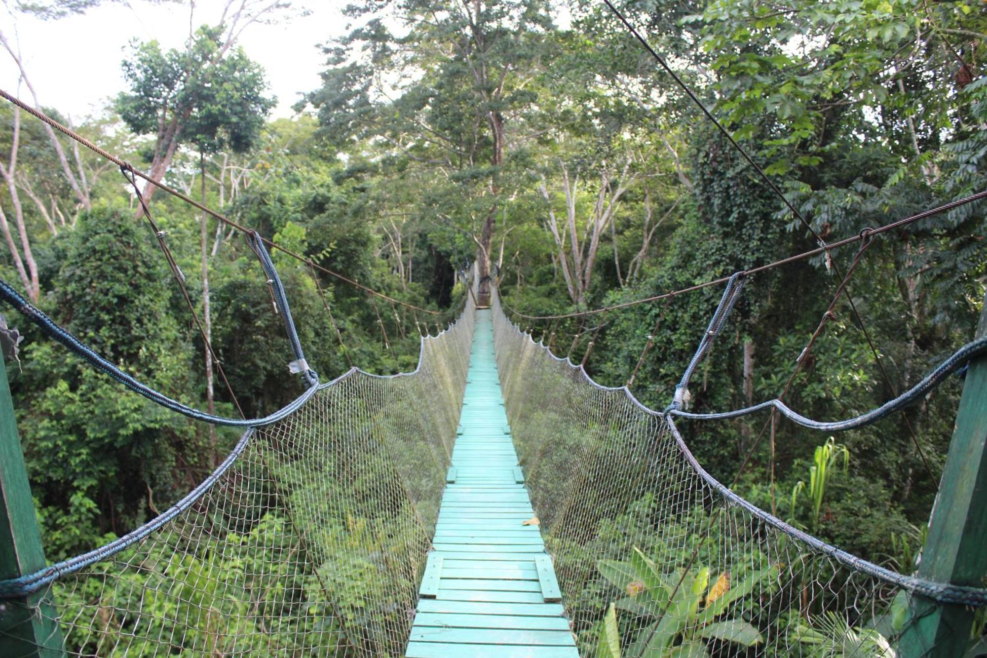 Hotel Tronco Tambopata Adventure à Puerto Maldonado Extérieur photo