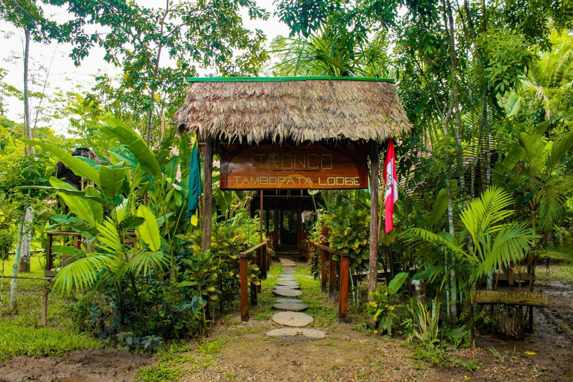 Hotel Tronco Tambopata Adventure à Puerto Maldonado Extérieur photo